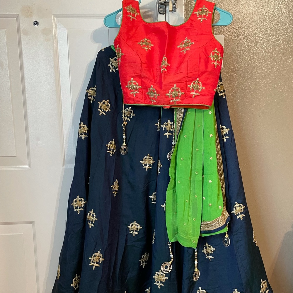 Indian navratri chanya choli